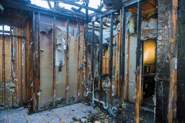 Professional Smoke Damage Removal technician working in San Diego Country Estates, CA
